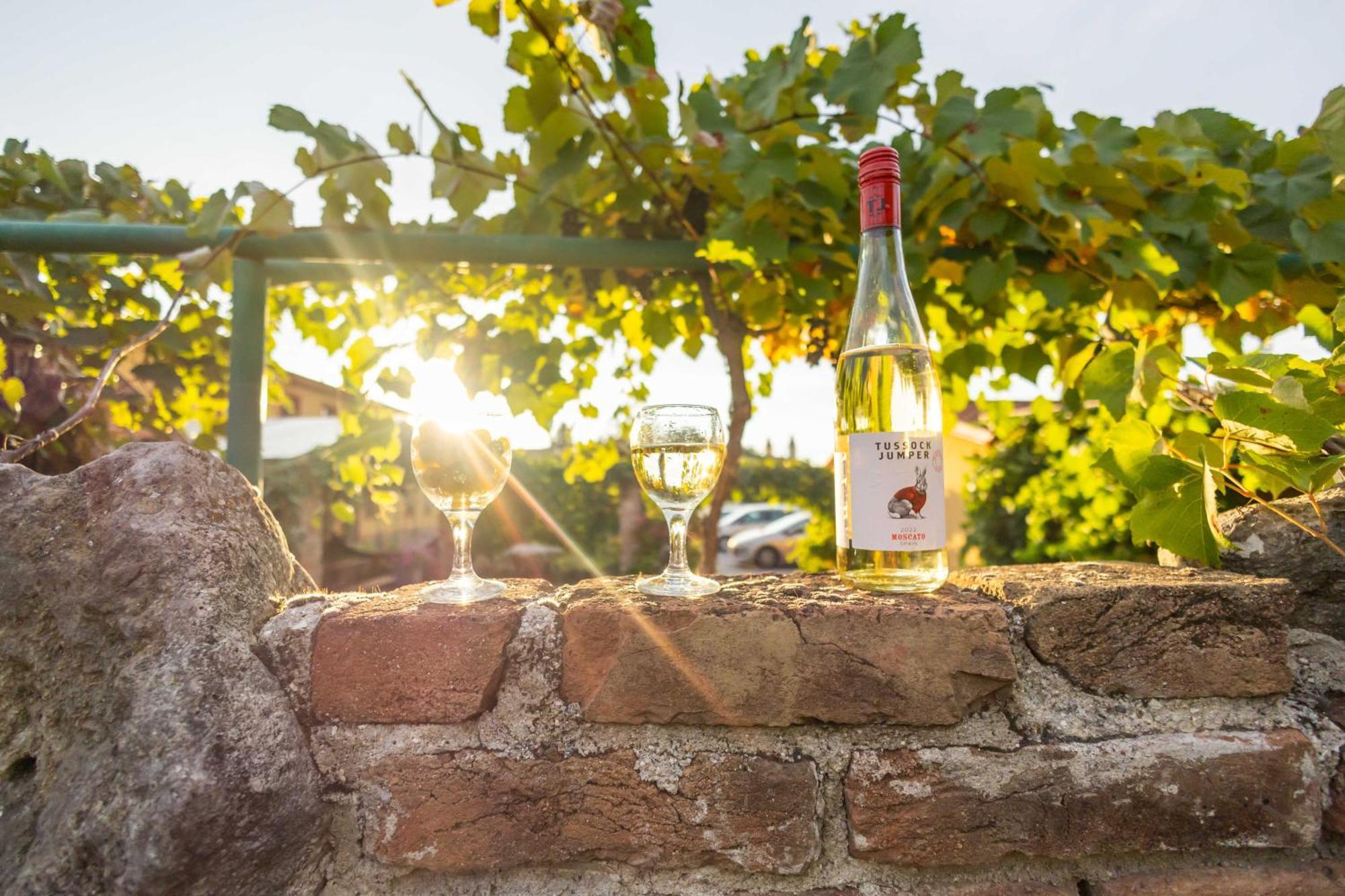 Penzion Moravská oáza Valtice Exteriér fotografie