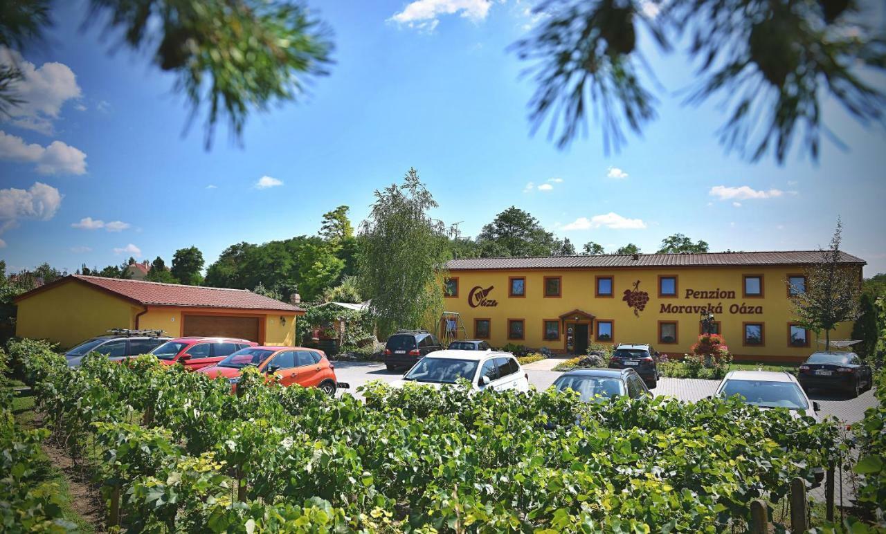 Penzion Moravská oáza Valtice Exteriér fotografie